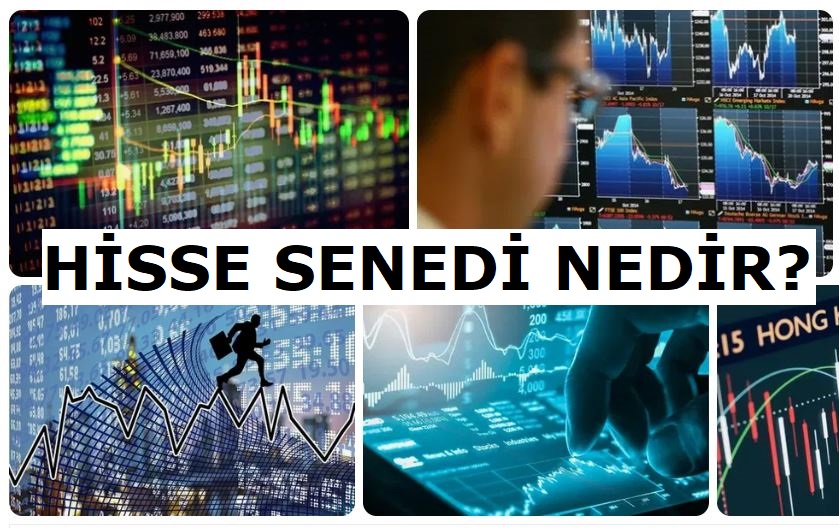 Hisse Senedi Nedir?