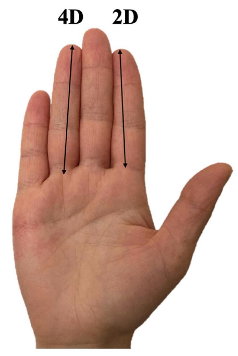 The Possible Link Between Finger Length and Personality Explained ...